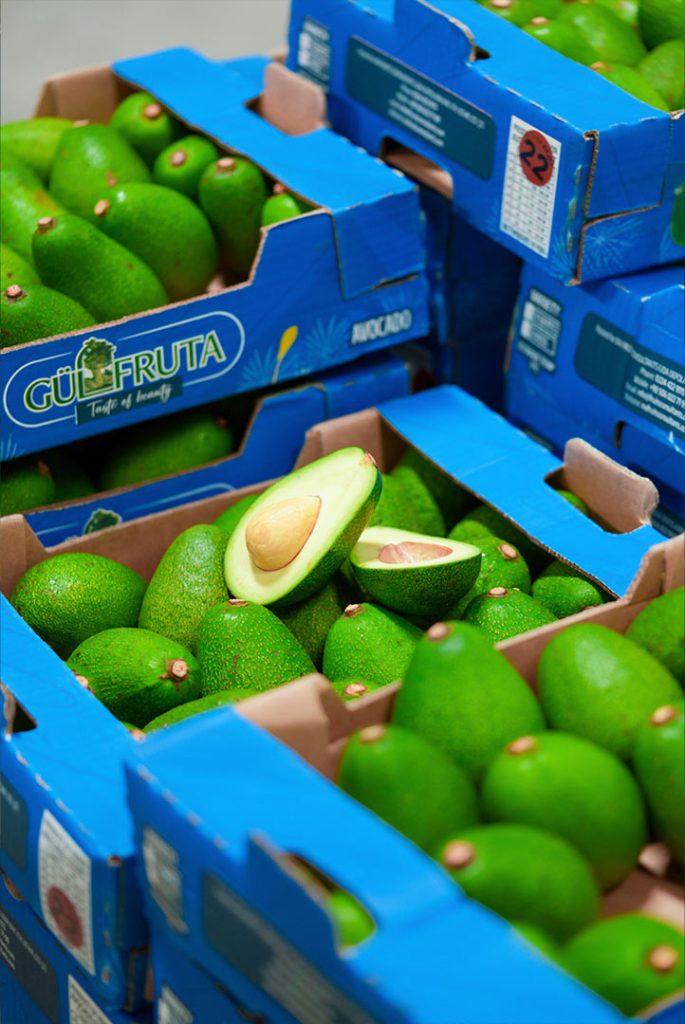 avocado