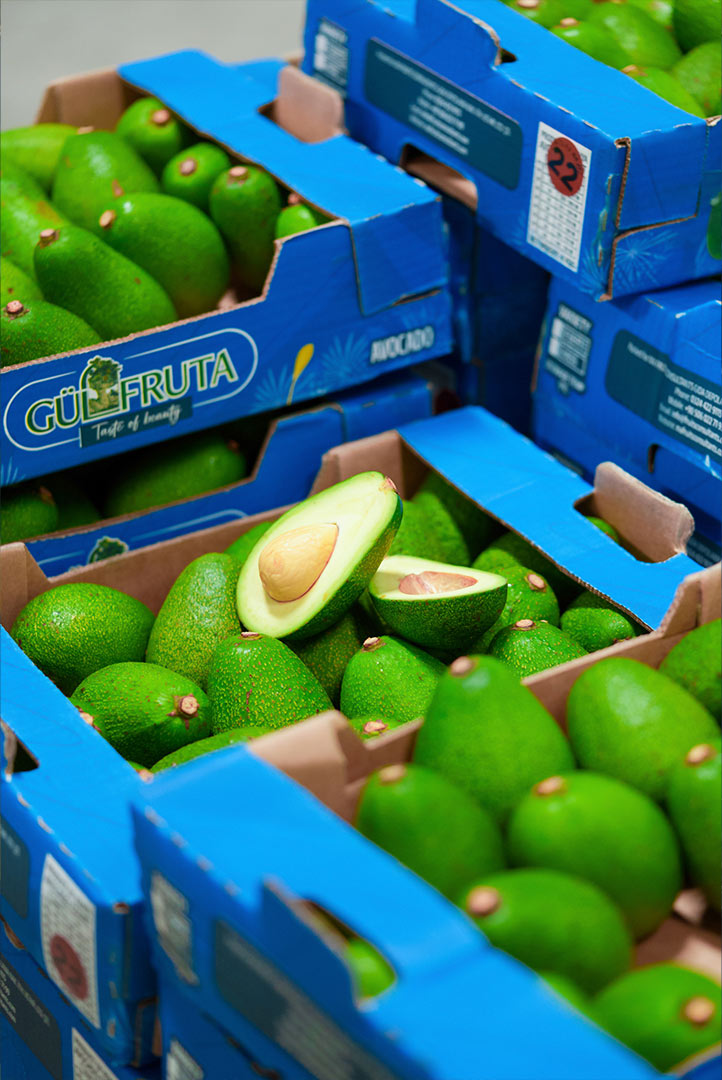 avocado